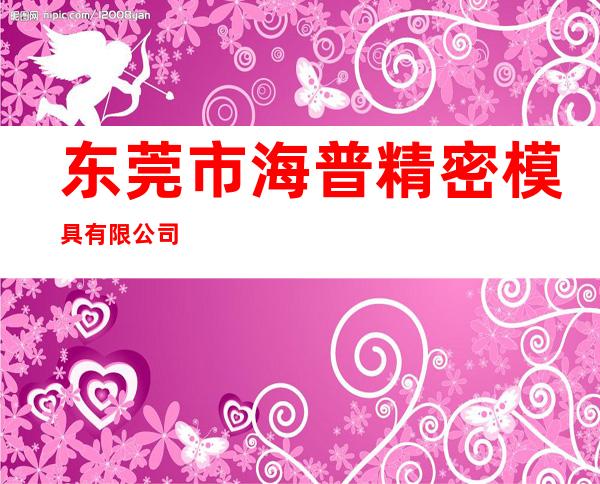 东莞市海普精密模具有限公司